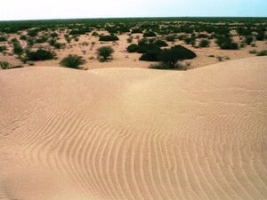 For Sale: 7000 has Land plot in Piura province