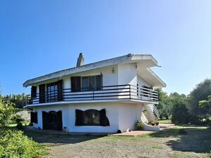 Villa with olive grove in Pabillonis, Sardinia