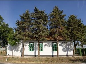 House for sale in Srbobran