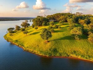 60-Acre Lakefront Land For Sale Touching Lake Victoria