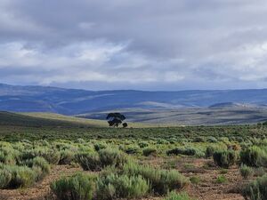 On Top Of The World (641)