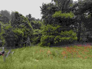 4.41 Acres of Wooded Land in Clinton SC