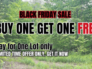 Black Friday Buy 1 Get 1 Free Deal Pay $6,500 And Get 2 Lots