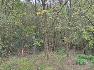 Devojački Bunar plot for sale