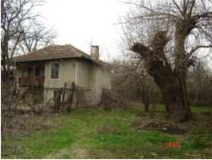 Property in Mussina for Renovation on Payment Plan