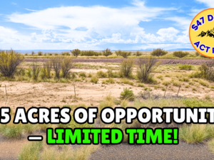 Own Your Rare 1.25 Acre AZ Land For Just $47/Down. Buy Now