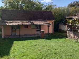 I am selling two houses in Veliki Crljeni