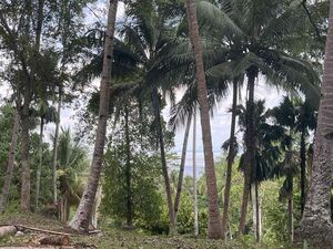 Overlooking Lot for Sale