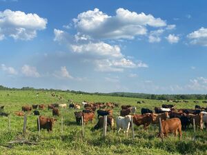 Agricultural estate in Caaguazu, 870 hectares