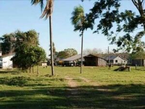 Agricultural/Livestock Farm 8253 ha in Alto Vera/ Itapu