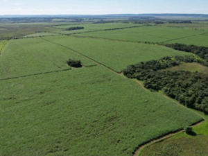Agricultural and livestock farm 752 Hektar in Paraguay