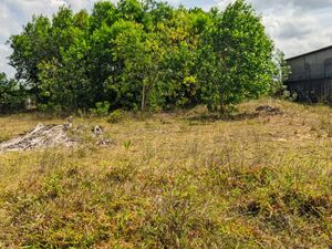  TERRAIN PLAT 2.500 m² TITRÉ & BORNÉ À TAMATAVE MADAGASCAR