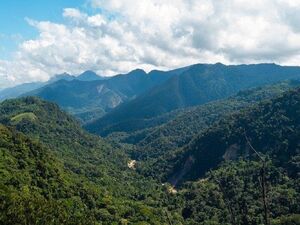 For Sale: 5.67 has Land plot in Lamas Province - San Martín