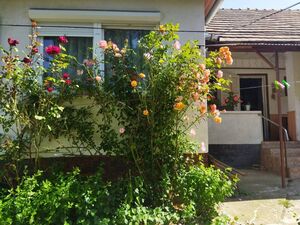 House in Hungary to sell