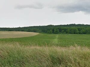 Residential Development Land for Sale near Budapest – Isasze