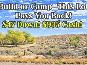 Smart Investment! 0.25 Acre Lot For $47/down or $935 Cash