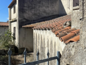 Detached House with Private Courtyard in the Heart of Mogore