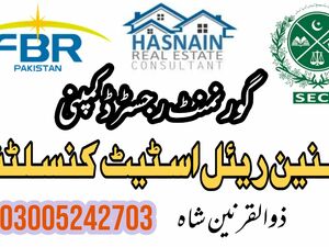 Property Real Estate Consultant 