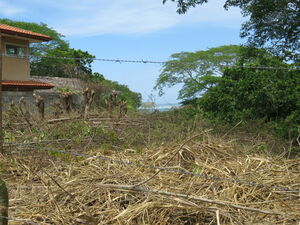 Exclusive! This lovely “lot of love” with ocean view