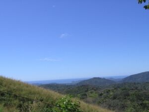 17 Hectares Blue Zone Ocean View Bargain!