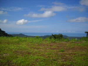 Looking to build? Need a lot? We have a "lot" of them!