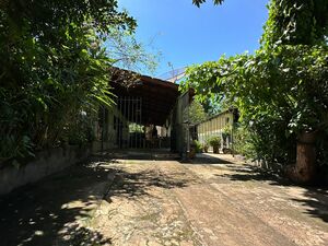 Fully booked urban tea