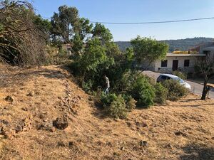 LAND FOR SALE IN THE ISLAND OF CHIOS-THYMIANA - GREECE