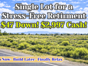 Own 0.90 Acre (Almost 1 Acre) Buildable Lot for $47/Down