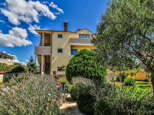 Three-Story House with Swimming Pool