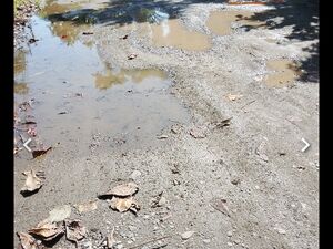 For sale 2,417 sqm in Tagum City, Philippines 