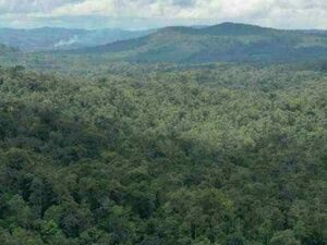 For sale farm lot in Laak, Davao de Oro, Philippines 