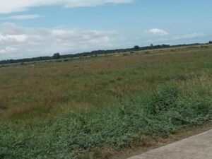 For sale beach lot in Bohol, Philippines 