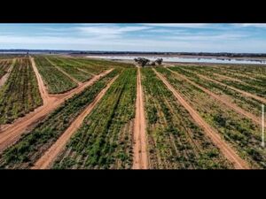 For sale farm lot in Australia 