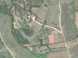 Private Rural Estate in Portugal – 4.7 ha with House and Agr