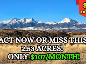 Buy 2.53 Acres in Costilla Cheap!