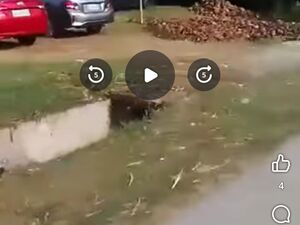 Commercial lot in panabo city 