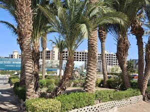 Studio of 47 m2 in ATLANTIS