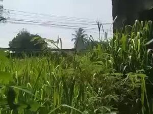 Industrial lot in Sta. Cruz, Davao del sur 