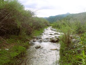 12,000 Hectare Ranch with Private Spring – Valle Fértil, Arg