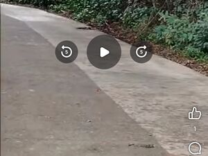 Commercial lot in kitaokitao, bukidnon, Philippines 