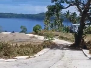 Farm lot in samal island, Philippines 