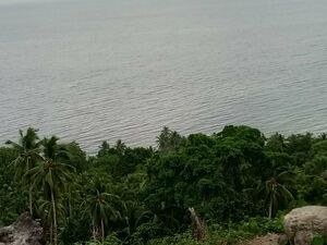 Beach lot in samal island, Philippines 