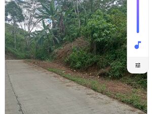 Farm lot in kitaokitao, bukidnon 