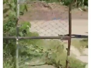 Farm lot in panabo city 