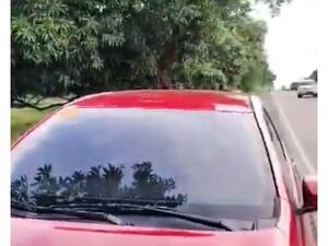 Farm lot in digos city 