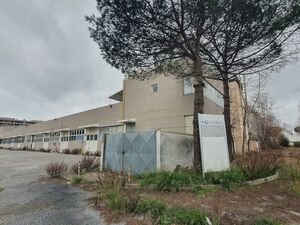 Complesso immobiliare costituito da due corpi di fabbrica 