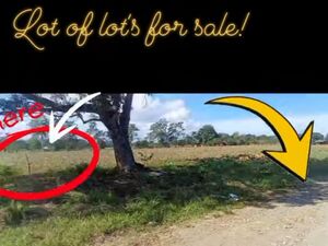 Farm lot in bukidnon 