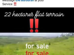 Farm lot in bukidnon 