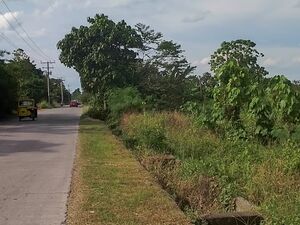 Farm lot in panabo city 