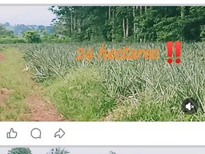 Farm lot in bukidnon 